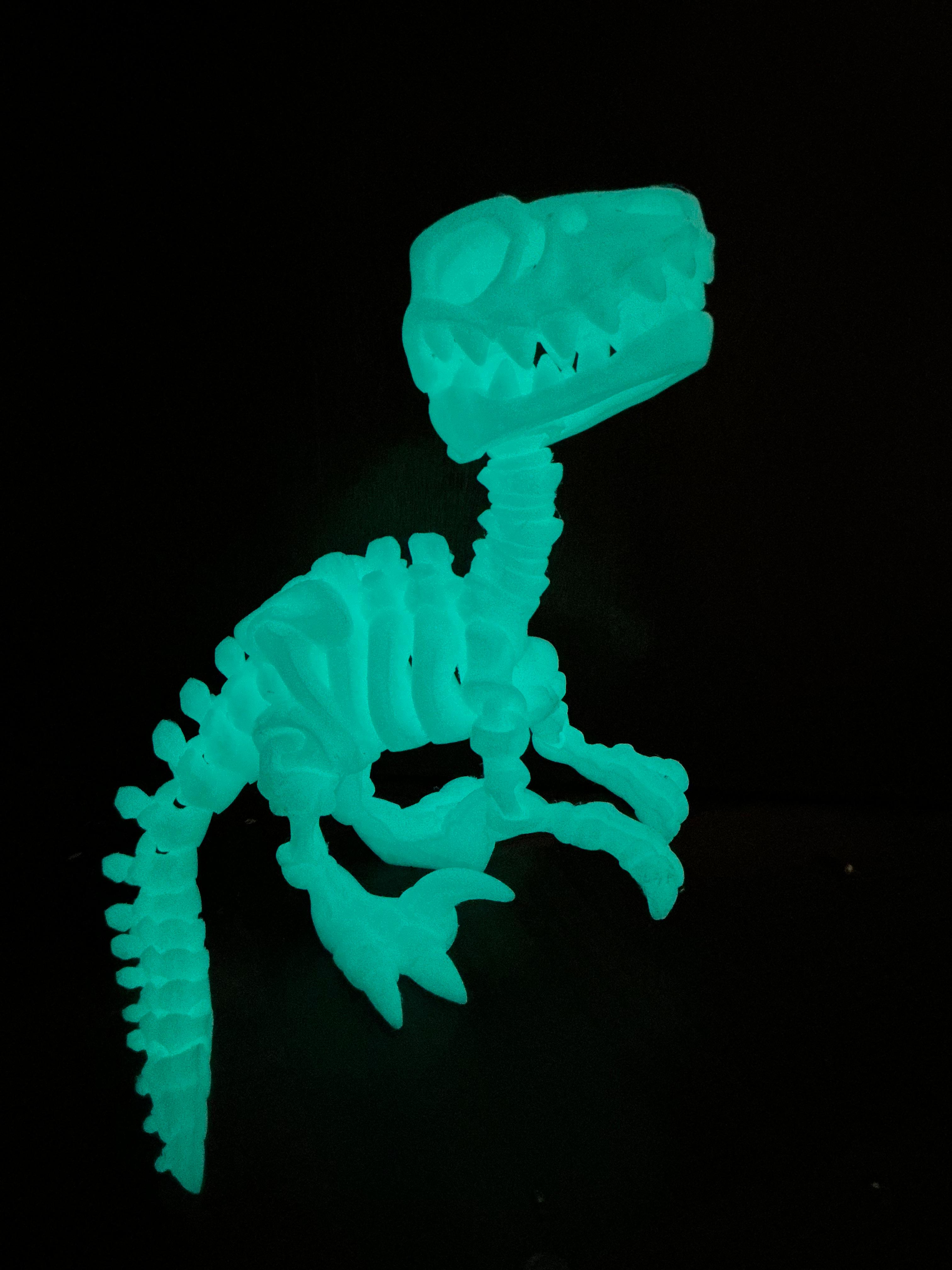 Dino1